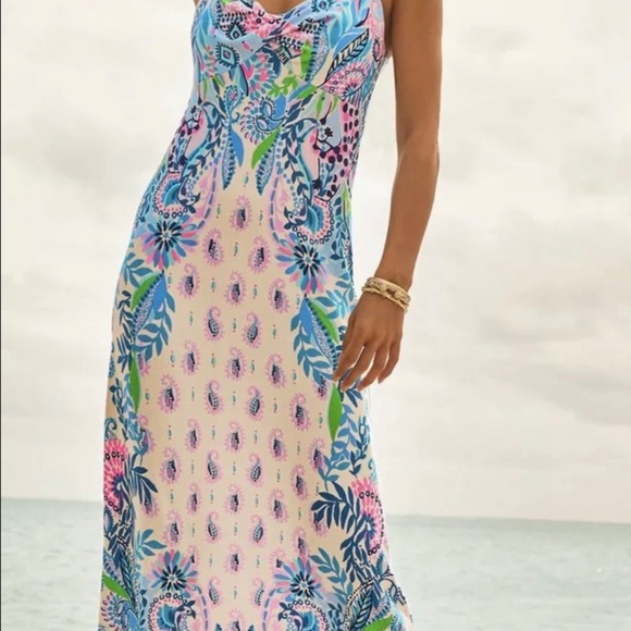 🦄 RARE Lilly Pulitzer Ambria Maxi Dress Macademia Haute Cature Engineered - Picture 5 of 8